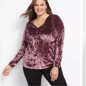 Lane Bryant Crushed Velvet button front long sleeve blouse size: 22/24